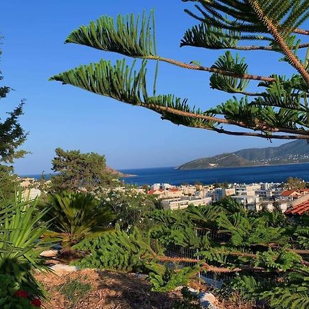 Studio With Unique View Near The Beach! Porto Rafti Exterior photo