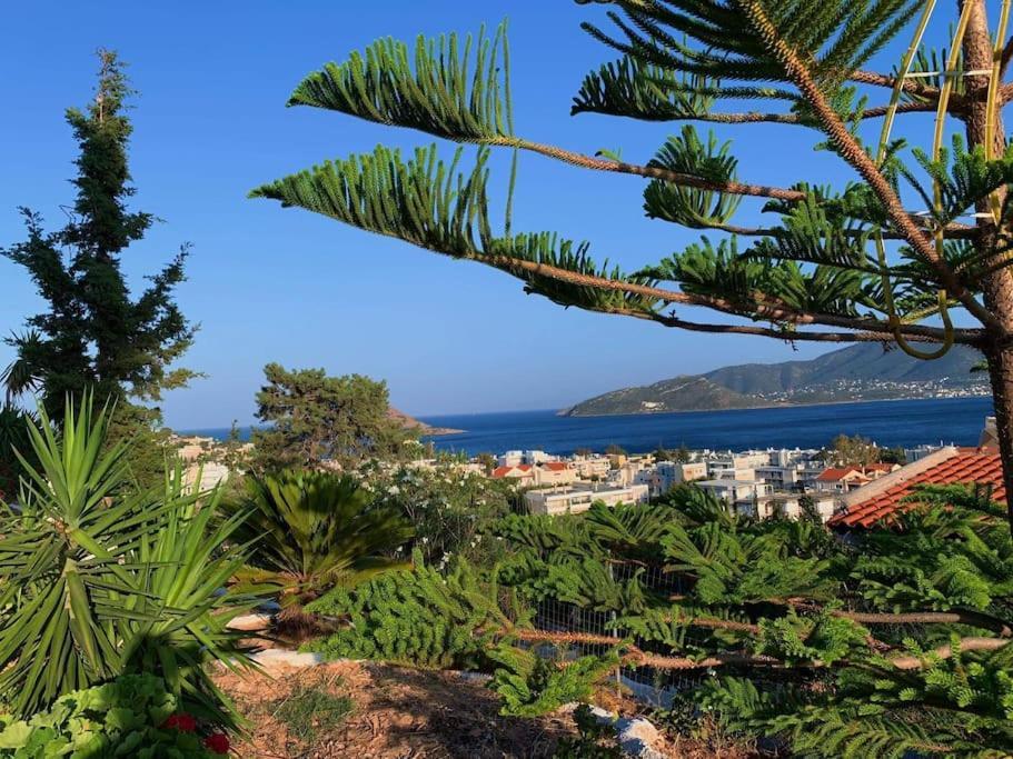 Studio With Unique View Near The Beach! Porto Rafti Exterior photo